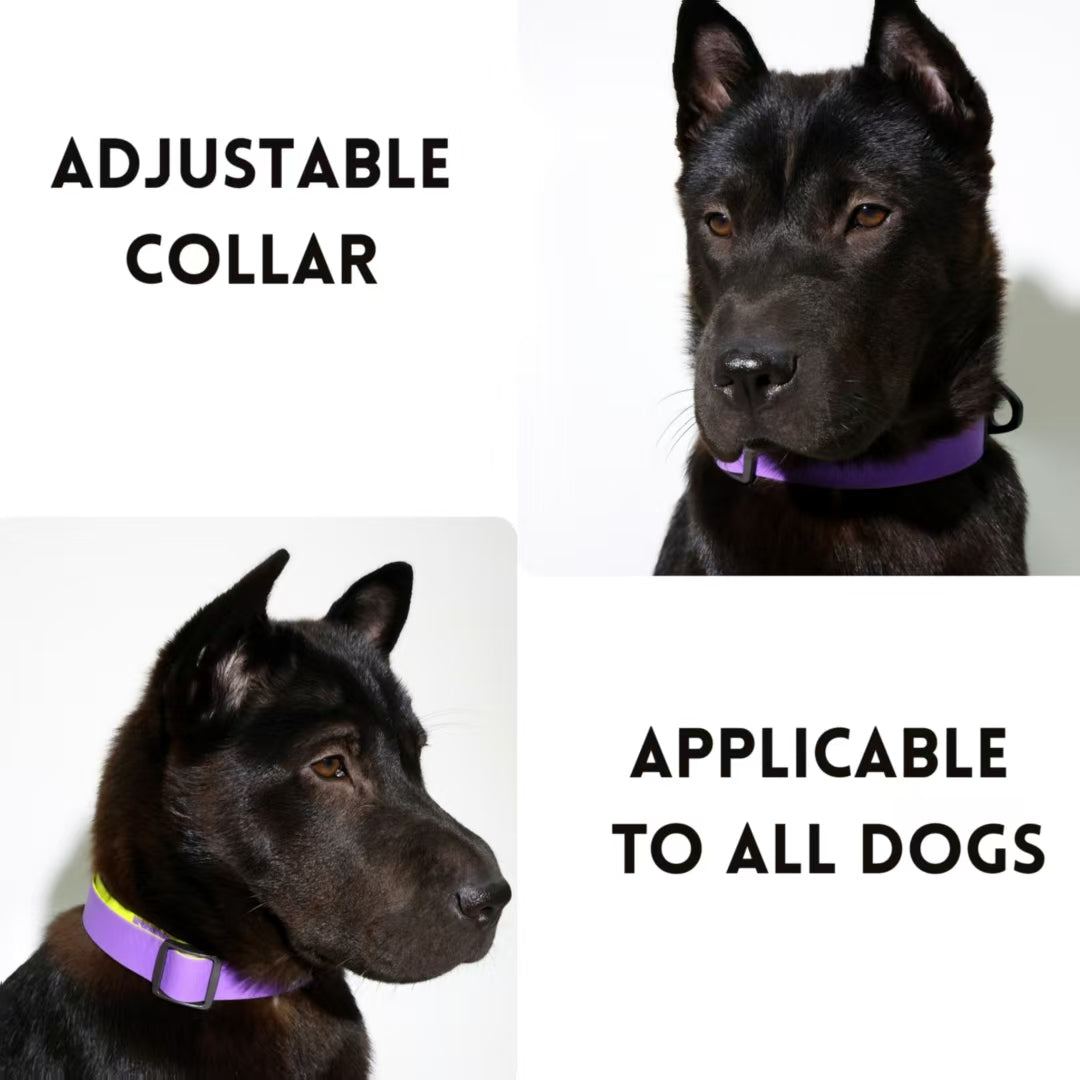 Honeycomb Embossed Dual-Color Dog Leash Set – Waterproof, Non-Slip, 3 Sizes