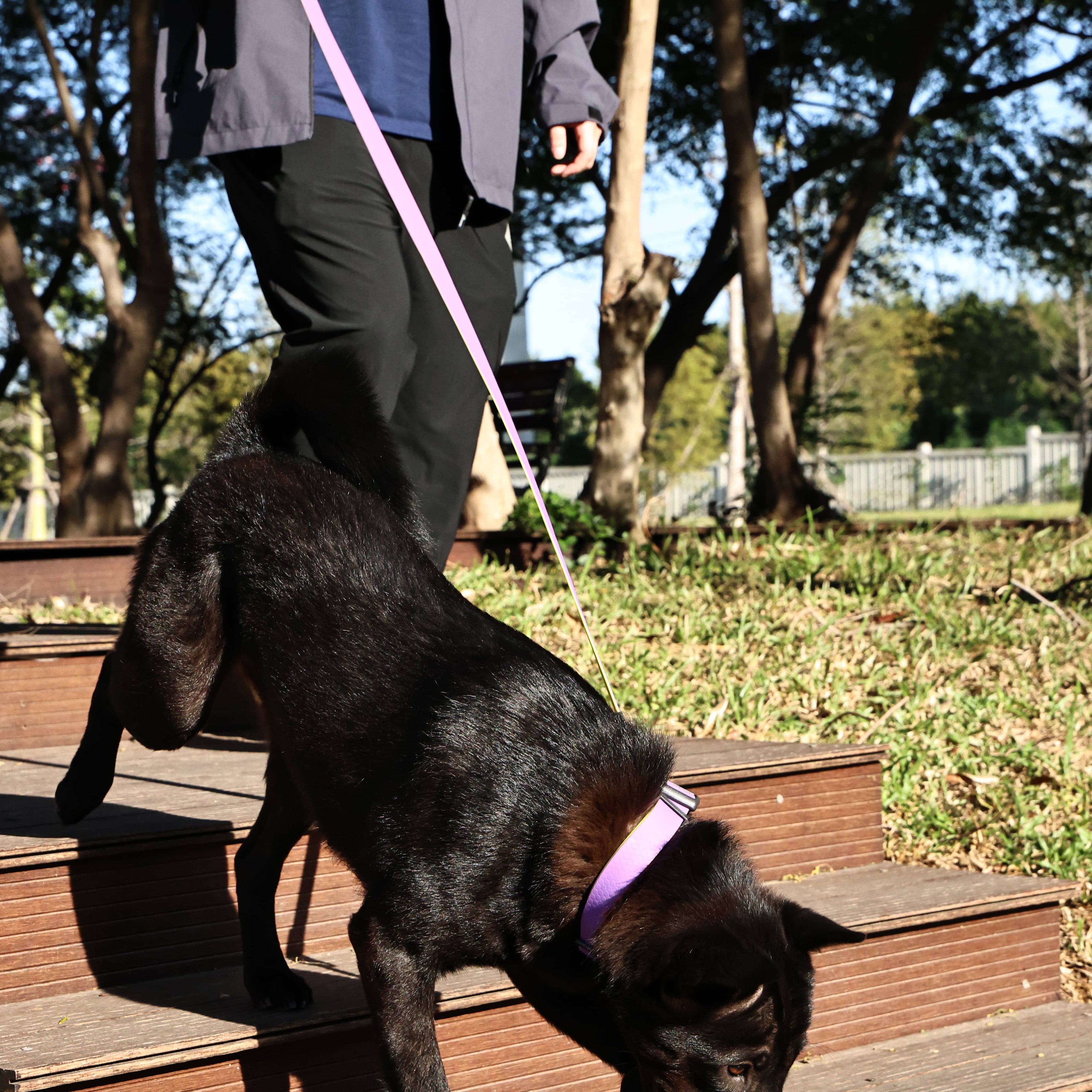 Honeycomb Embossed Dual-Color Dog Leash Set – Waterproof, Non-Slip, 3 Sizes