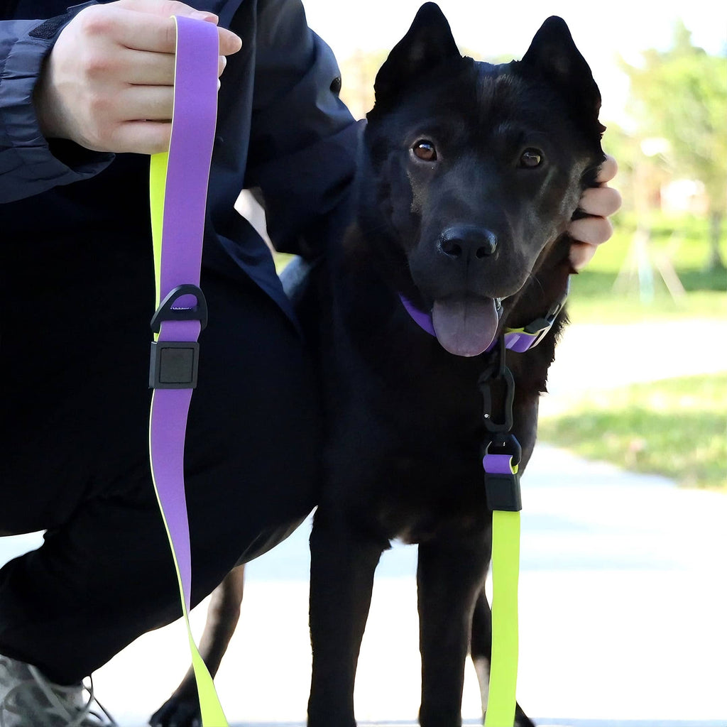 Honeycomb Embossed Dual-Color Dog Leash Set – Waterproof, Non-Slip, 3 Sizes