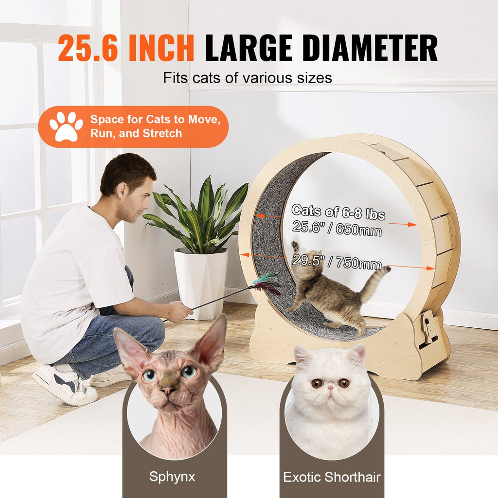 Rueda de ejercicio para gatos – Cinta de correr silenciosa de madera maciza de 29.5" para gatos de interior