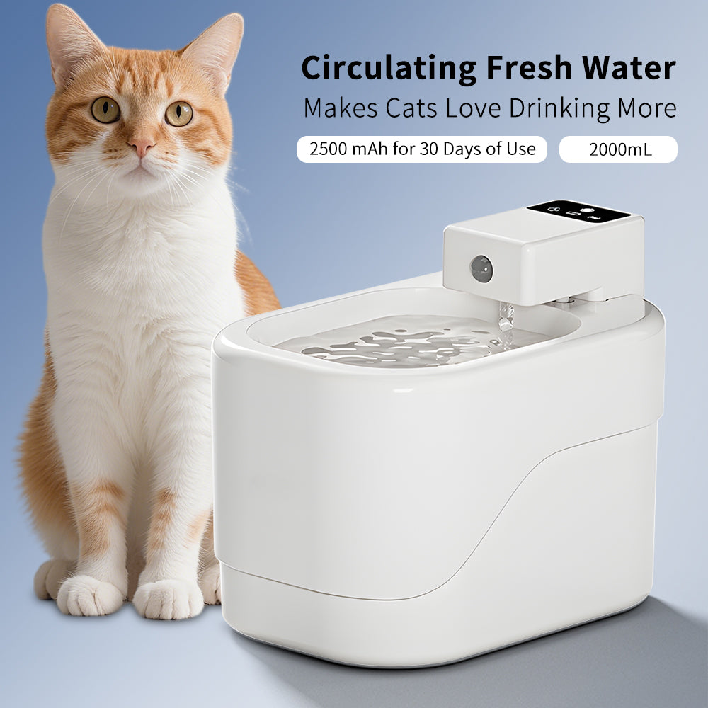 Smart Sensor Pet Water Fountain 2000ML – Wireless USB, Ultra-Quiet, Anti-Dry Burn