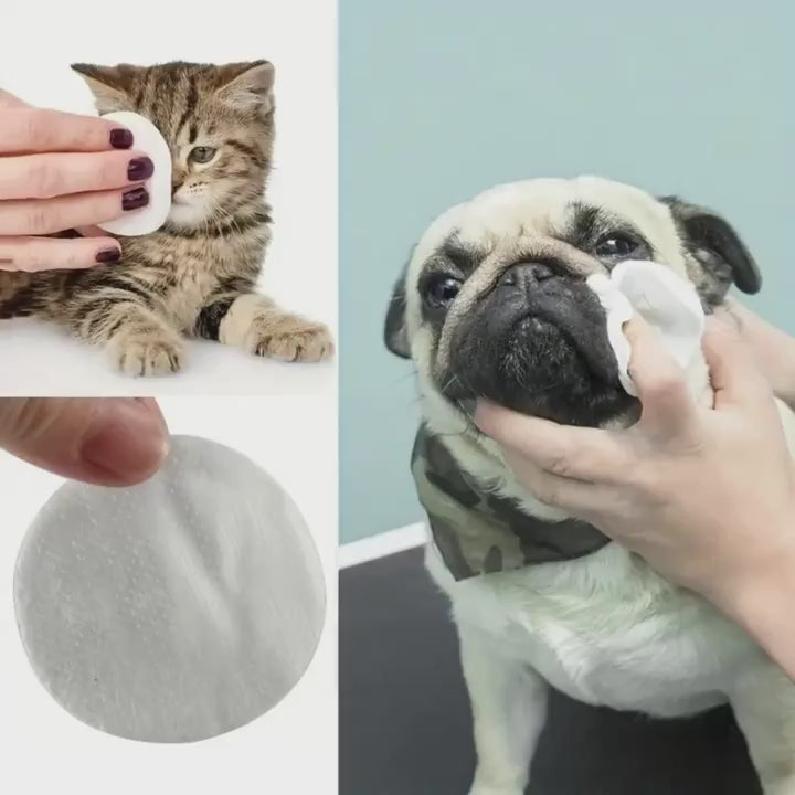 Lingettes oculaires pour animaux de compagnie (200 unités) – Anti-larmes pour chiens et chats | Douces, sans alcool