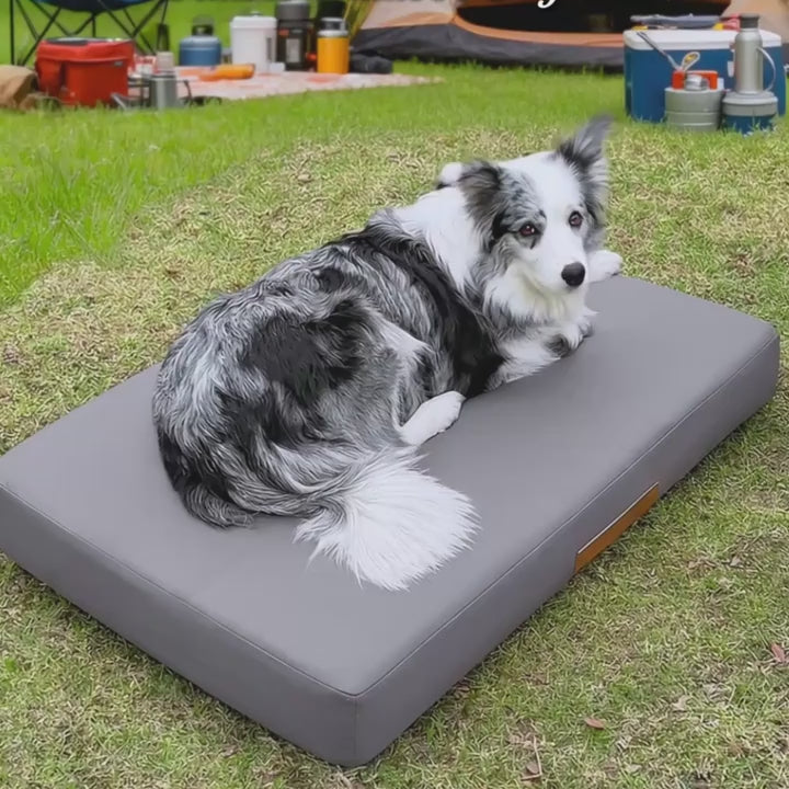 Colchoneta Hinchable de Viaje para Perros – Impermeable, Antideslizante y Lavable | Uso en Interiores y Exteriores